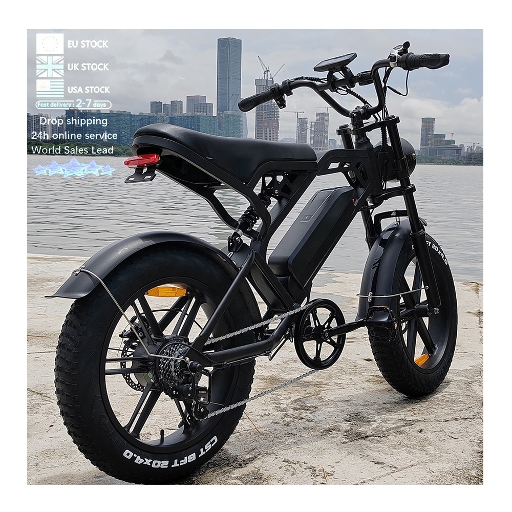 dual motor electric bike enduro ebike bisicletas electric bicycle elektro motorrad tandem V20 fat bike electric fat biked