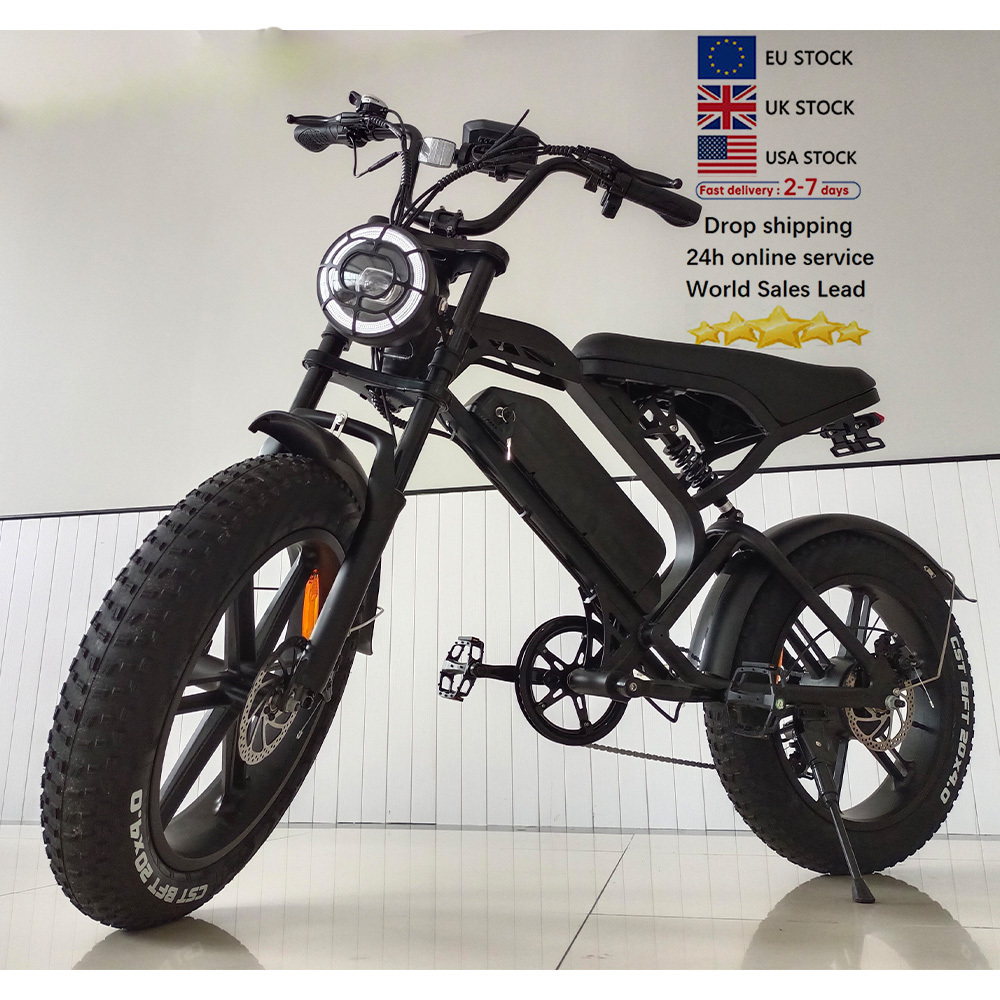 cheap electric bike adult 250W/500W folding ciclismo electric bicicleta electrica para adultos dirtbike V20 elektro fahrrad