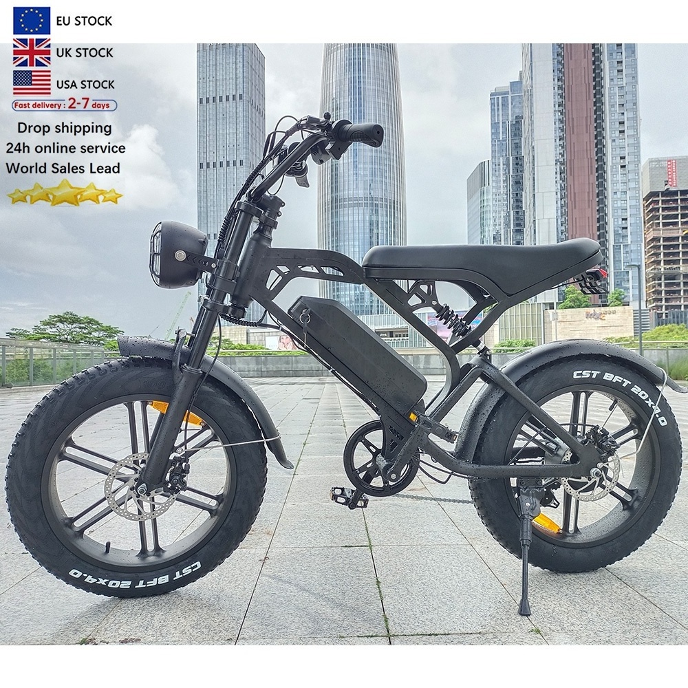 Cheap Fat Tire V20 Mountain electric bicycle Mtb Big Tyre Bike Ebike Retro electric Bicycle V20 electric bike