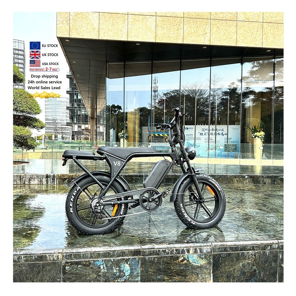 3.0 City electric bike 20