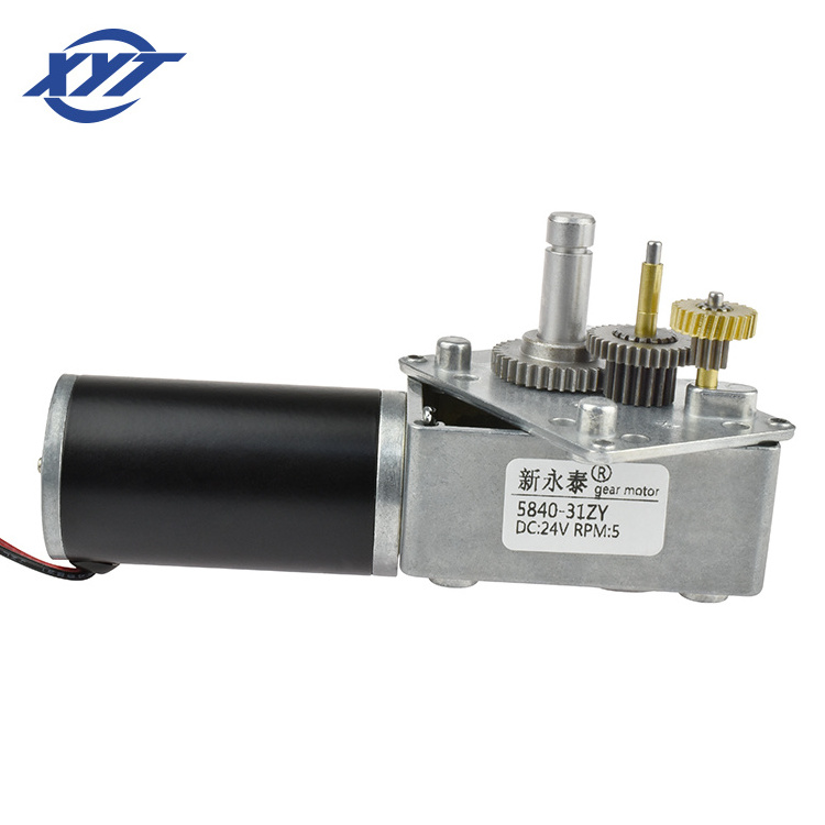 Dual Output Shafts Small Battery Powered 12V DC Worm Gear Motor