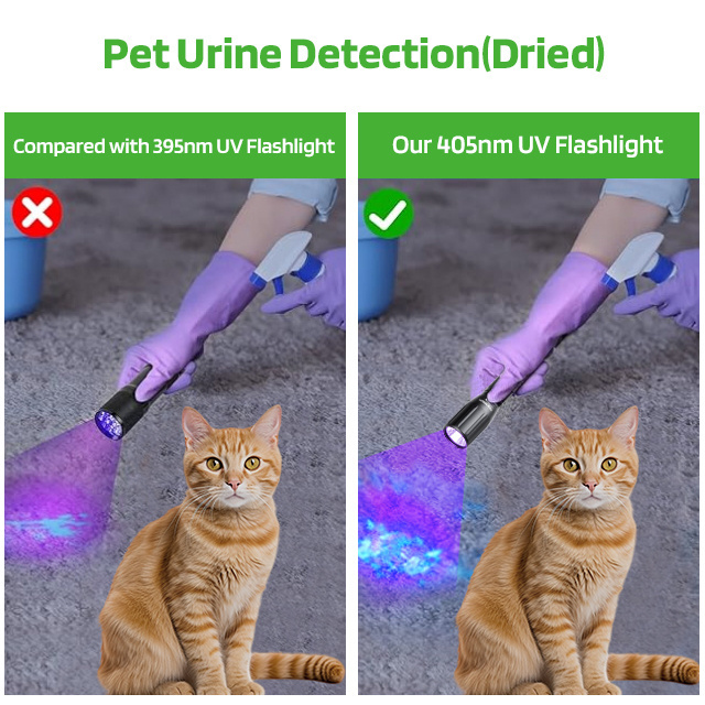 405nm Ultra Violet Torch Lanterna AA Battery Powered Portable Black Lights Detector for Dog Urine Pet Stain UV led Flashlight