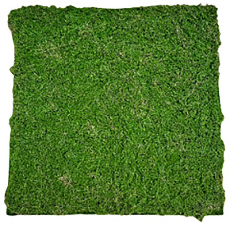 New design Decorative Background Green Wall Factory Wholesale Lawn Artificial Moss Turf For Modern Decor