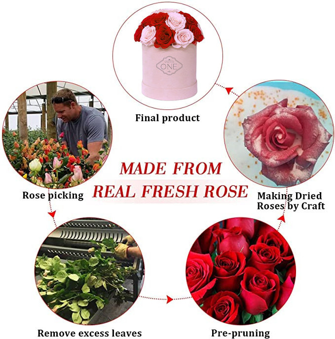 UO Eternal roses preserved flowers rosas eternas preservadas 2020 decorative rose forever box gift preserved roses