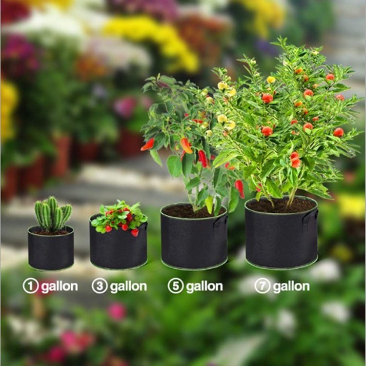 10 25 100 gallon hanging felt vegetable potato garden mushroom plant grow bags flower pot