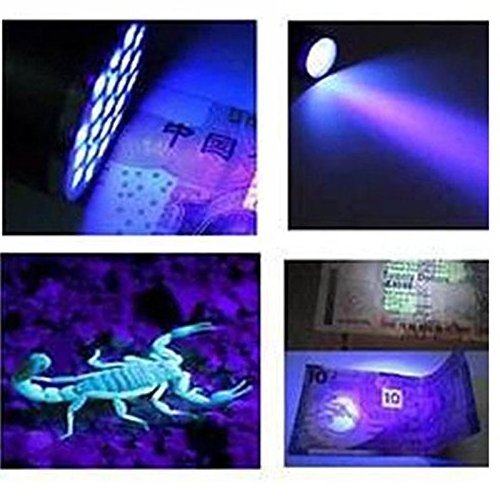 395nm Ultraviolet Black light Detector Dog Urine Pet Stains and Bed Bugled uv 51 LED flashlight