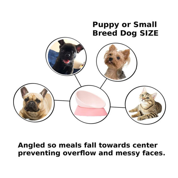 Pink Anti-Slip Dog Cat Dish Detachable Rubber Dog Bowl Pet Sterile Tilted Slope Base Pet Feeder