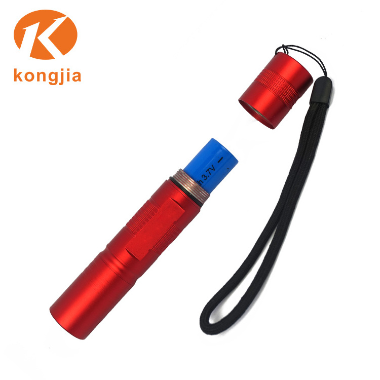 Aluminum Alloy Mini Flashlight Keychain  Led Argon Welding Torch Doctor Pen Torch Small Key lamp outdoor portable