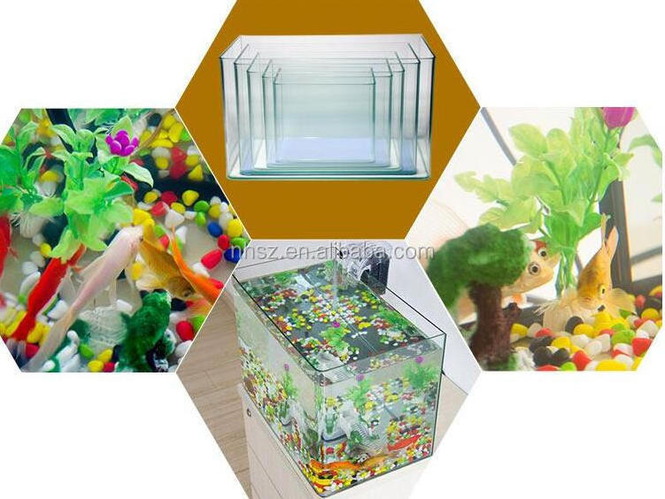 mini curved glass set aquarium