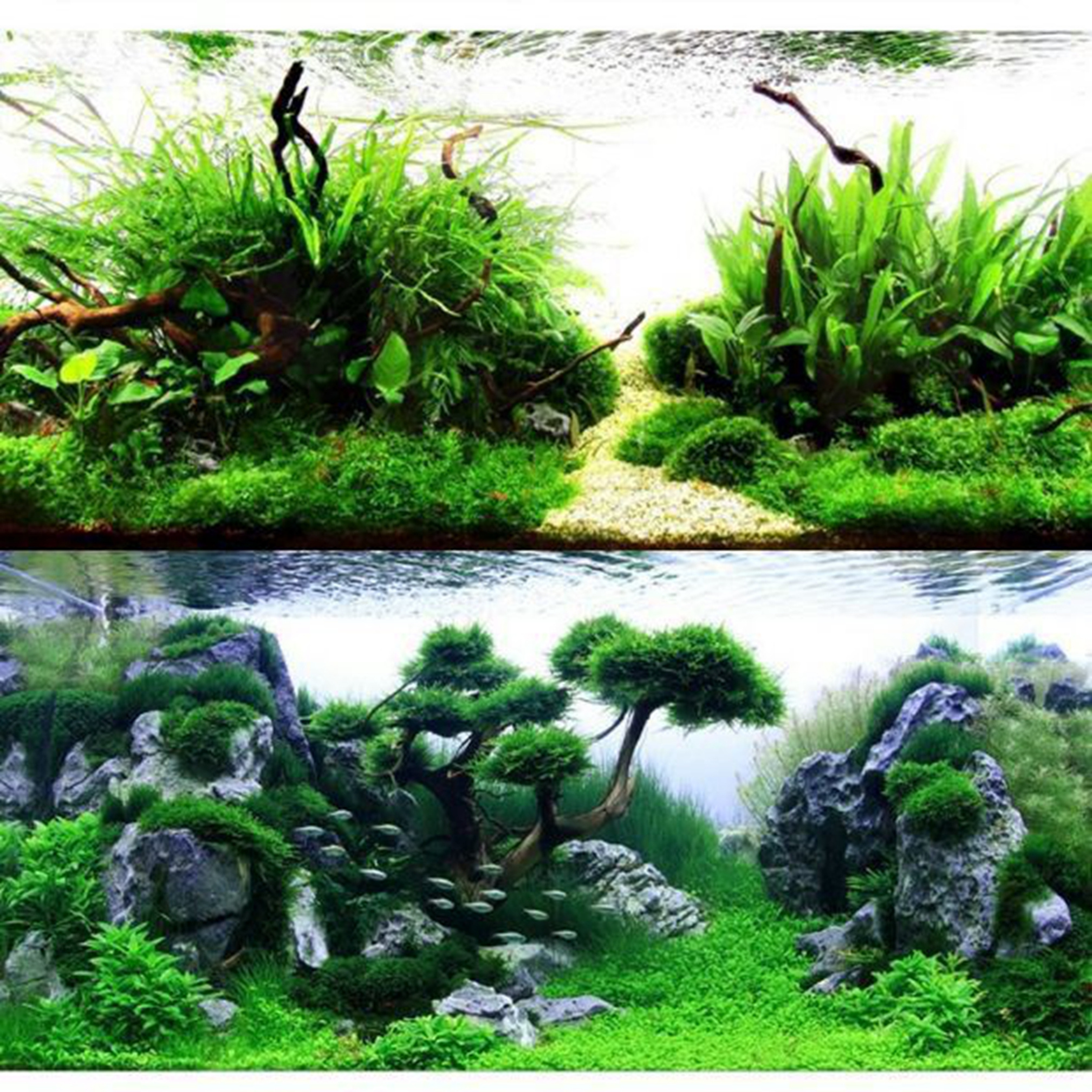 Stable Porous Natural Planted Aquarium Substrate Soil For Waterweeds Aquatic Water Plants