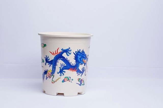 Design Dragon and Phoenix Pattern Not Coated PP Plastic Used with Flower/green Plant White One Container T/T, L/C