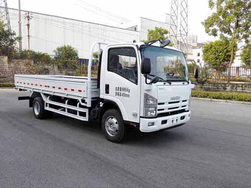 Brand New  ISUZU Cargo Truck isuzu 700p 10T 3800mm Cargo Mini Truck