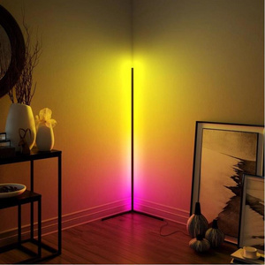 Nordic Modern Rgb Color Changing Floor Lamps Standing Led Floor Light Corner Led Floor Lamp For Bedroom