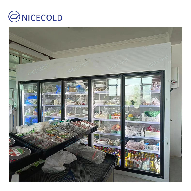 Display Glass Door Walk in Cold Room with Pu Panel at Preferential Price