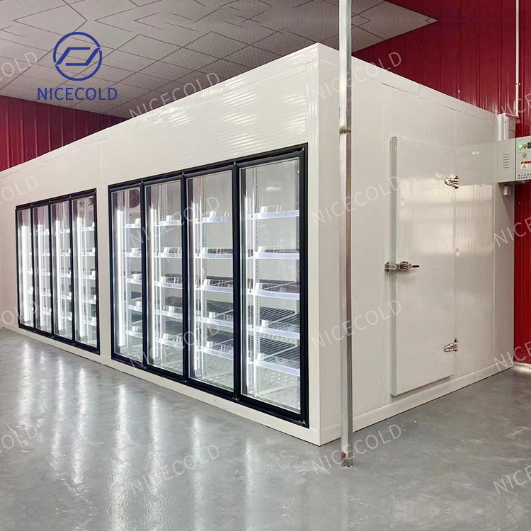 Custom Supermarket Display Cooler Walk in Freezer Cold Room 6 Glass Doors for Beer