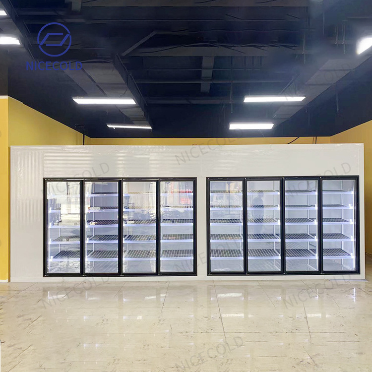 Glass Door Cooler Freezer Storage Display Walk-in Cold Room with Shelves Entry Door