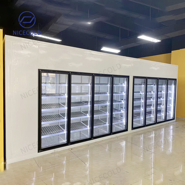 Glass Door Cooler Freezer Storage Display Walk-in Cold Room with Shelves Entry Door