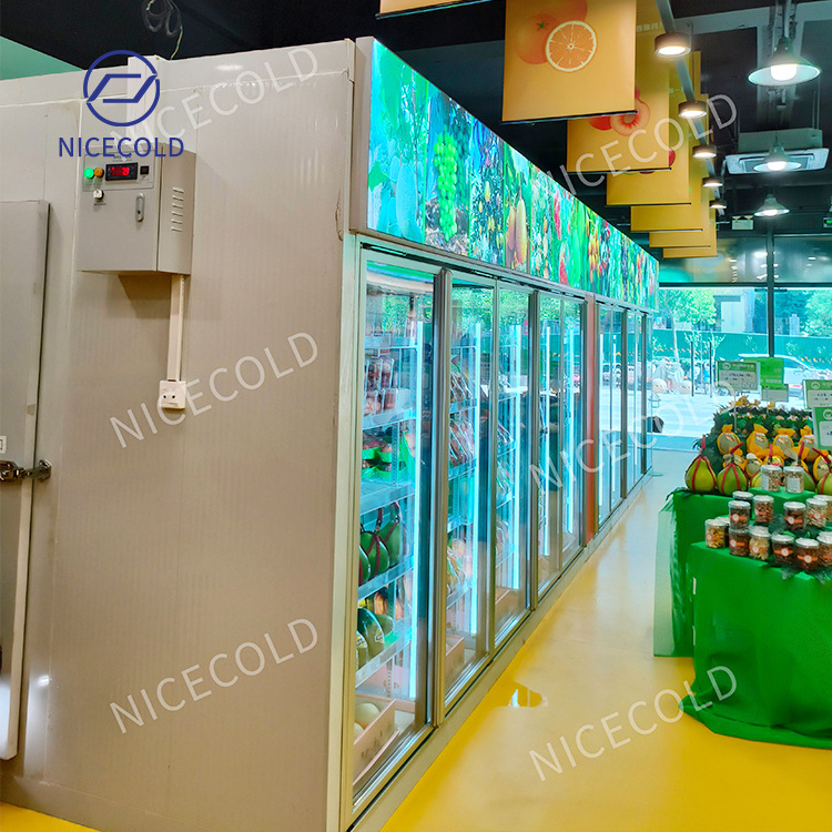 New Refrigeration Equipment Glass Door Cold Room Storage Display Walk in Cooler and Freezer