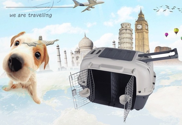 portable trolley airline double doors big pet carrier jet box on wheels