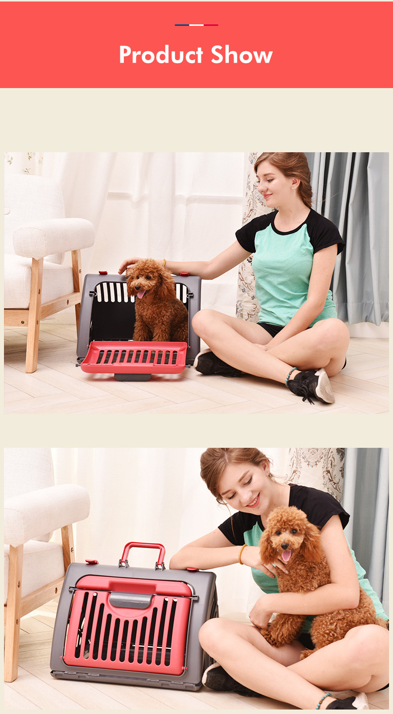 collapsible portable pet carrier bag foldable cat carrier