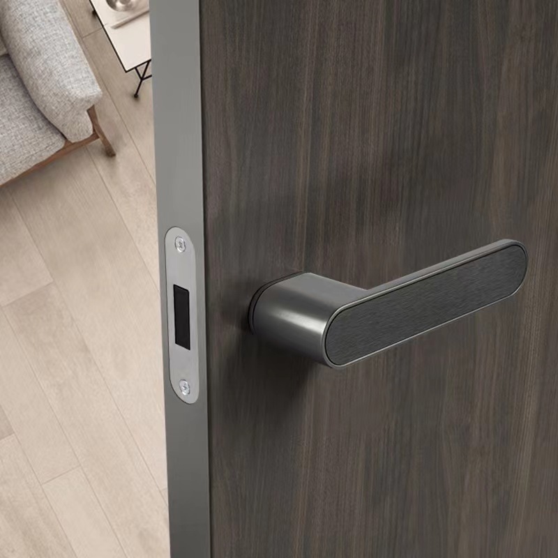 Modern Luxury Door Handle One Word Silent Bedroom Wooden Door Lock Zinc Alloy Black Door Handle