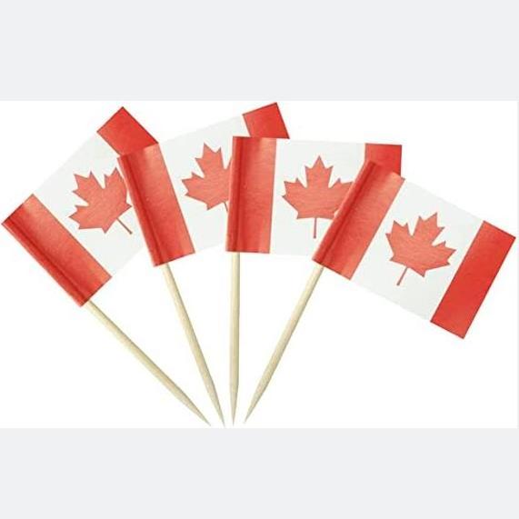 Canada Flag Canada Toothpick Flags Small Mini Stick Cupcake Toppers Flags