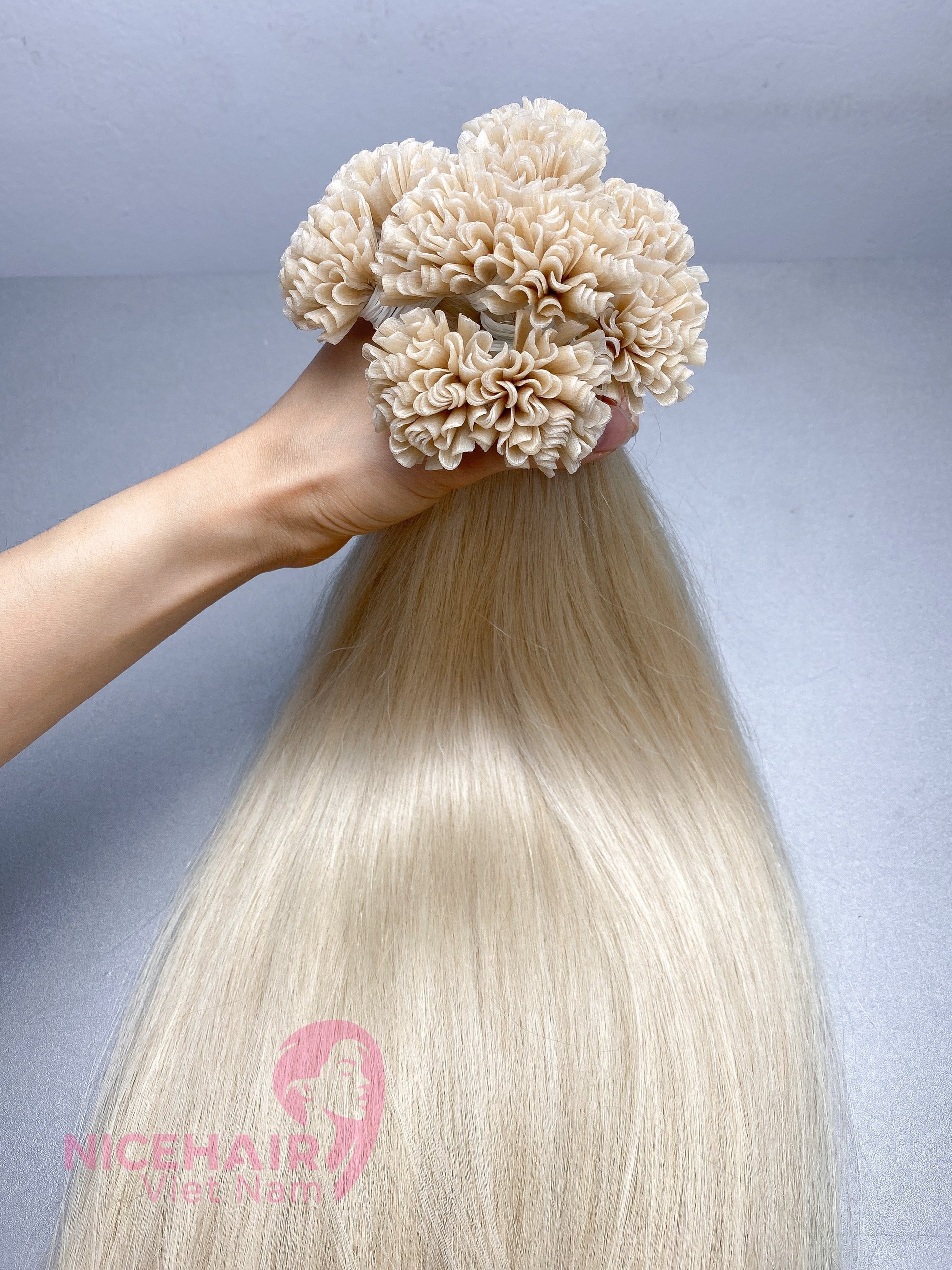 Wholesale Prebonded U Tip Hair Extensions Italian Keratin Raw Virgin Hair U Tip Human Hair Extension