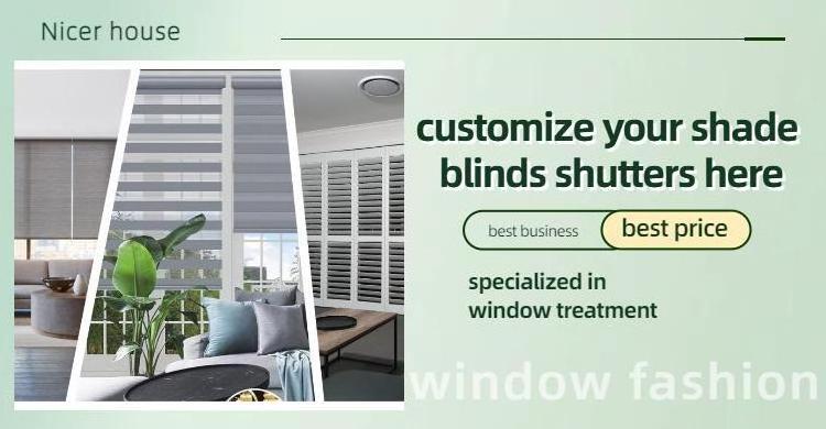 Smart motorized automatic day and night zebra roller cordless blinds combi shades shutters zebra window blinds for window