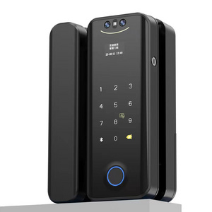 2024 New arrival promotion new design waterproof 3D face recognition glass door  fingerprint remote Tuya smart lock