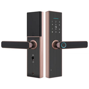 High level WIFI Remote control TUYA  TT lock APP Fingerprint waterproof Password Key handle smart lock