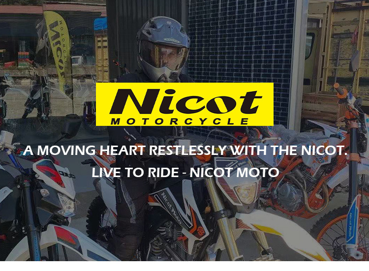 Nicot Custom Modern Stunt Motorcycle 48v 21ah Electric Adult Electric Dirt Bike