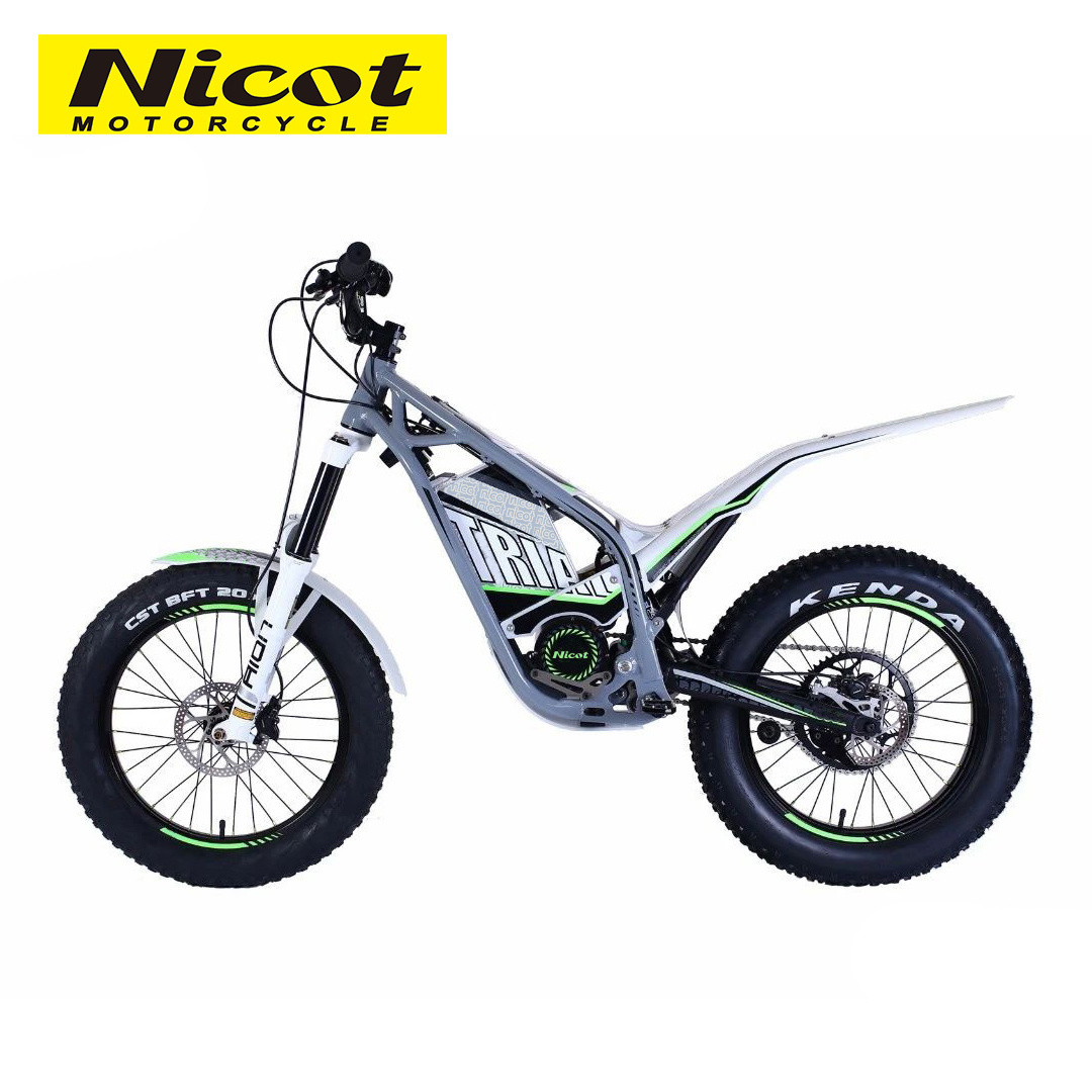 Nicot D1 Electric Trial Bike 3800W Light Weight Dirt Bike For Stunts Other Motorcycle