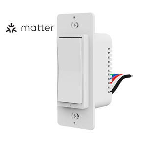 WiFi Smart Home Matter Smart Switch Apple Siri Wireless Switch Controller With Light Switch Cover Plate