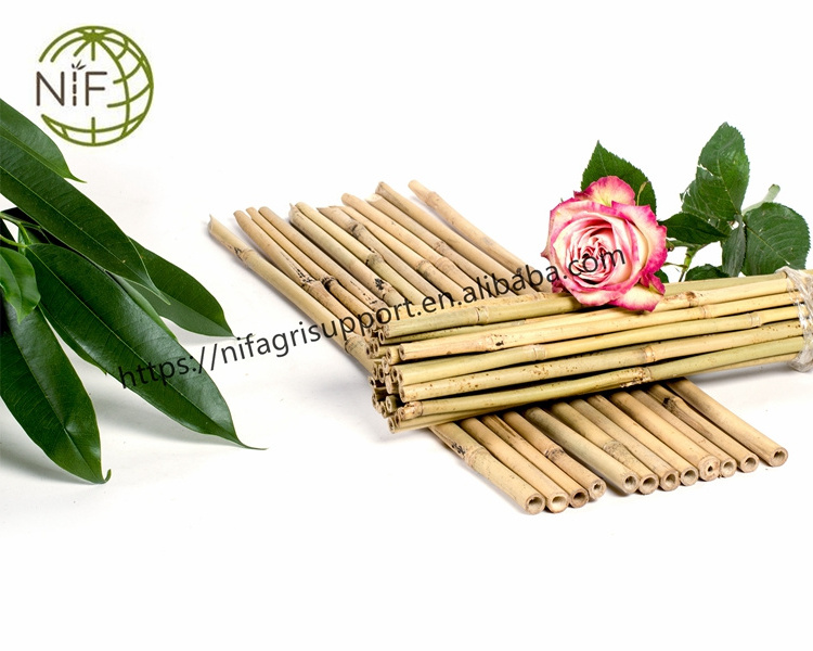 The fine quality plant stand bamboo poles sticks bamboo cane support holder