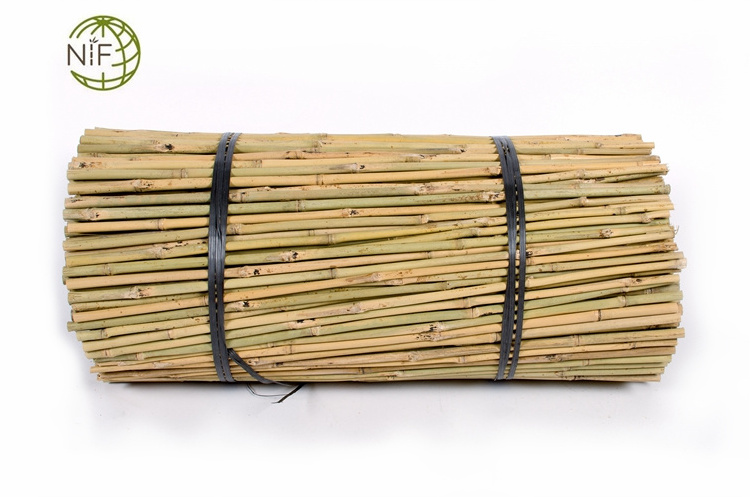 Yellow dry Bamboo canes bamboo pole for plant support