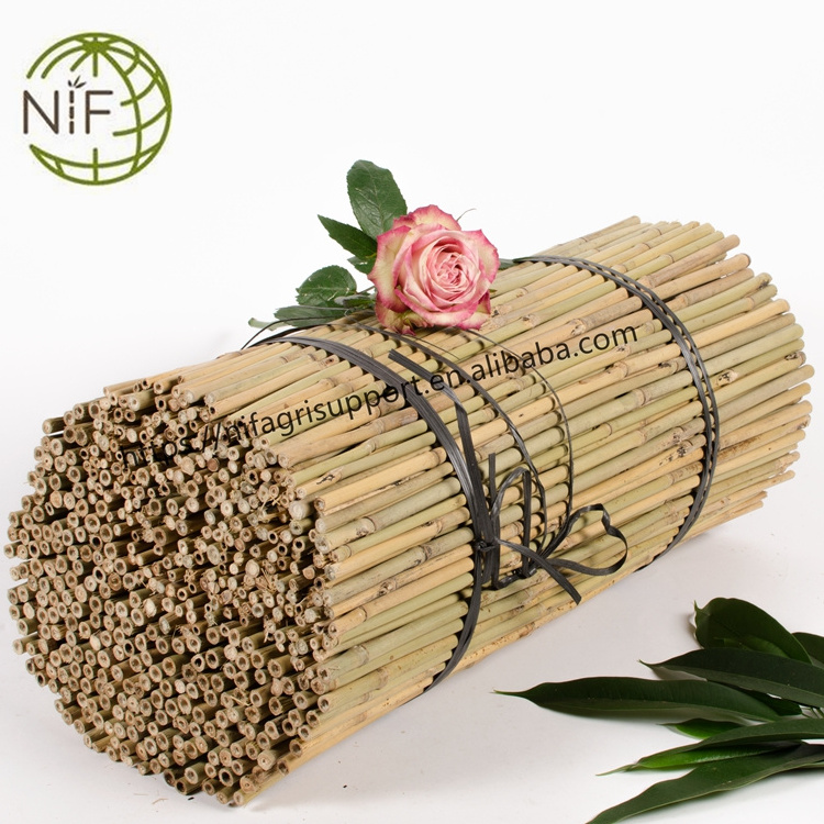 Yellow dry Bamboo canes bamboo pole for plant support