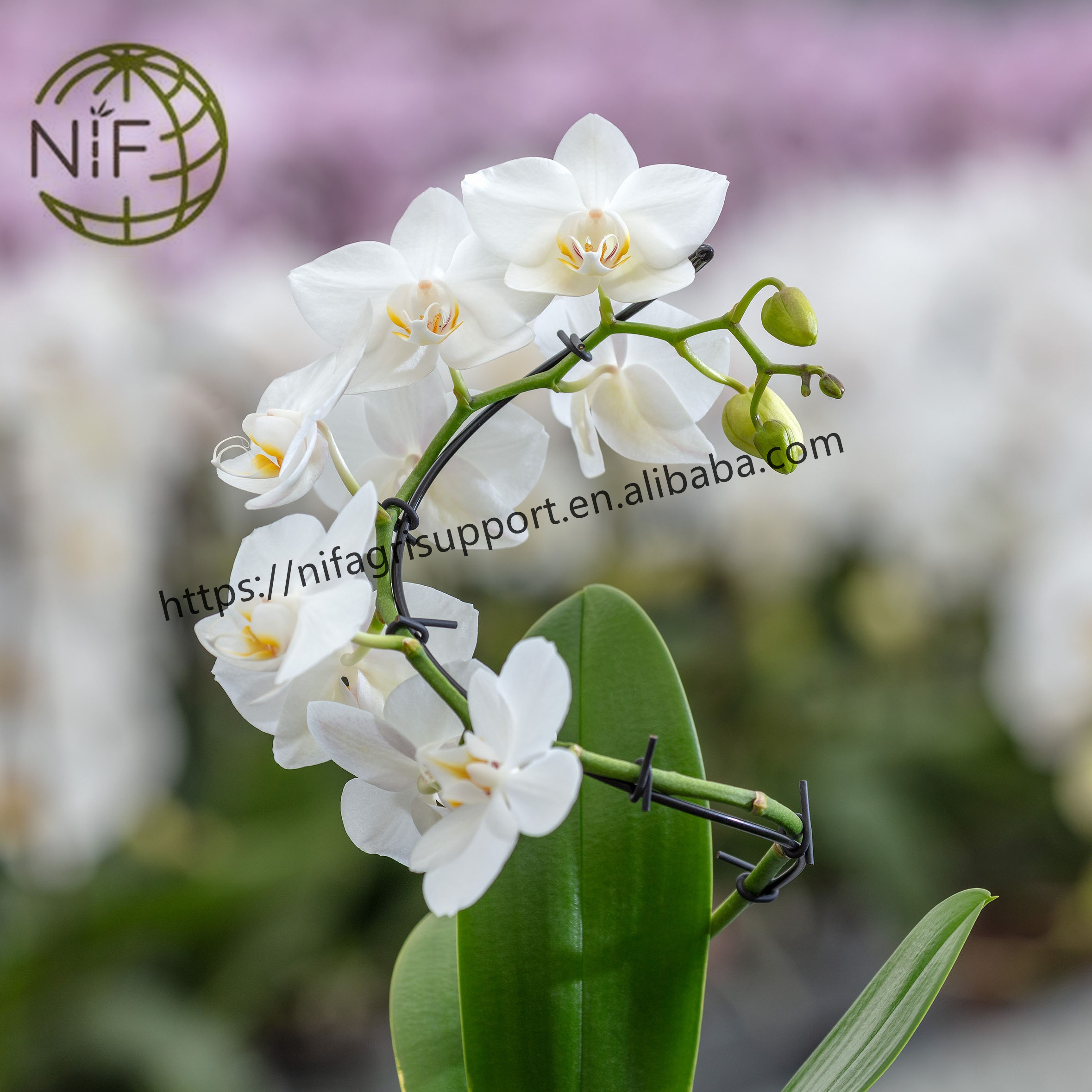 NIF Gardening Plant Support Clips Orchid Stem Clips Flower Clips hook for horticulture