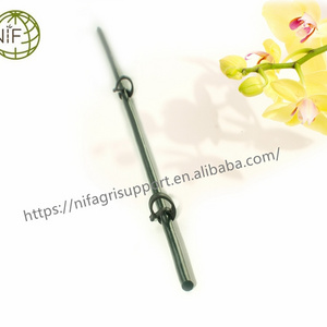 NIF Attractive price new type bamboo sticks with clips for orchid plant support