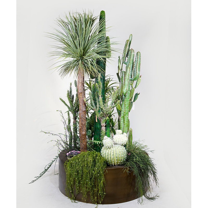 Nice Looking Artificial Succulents Cactus Plants Arrangements for Garden Landscapes