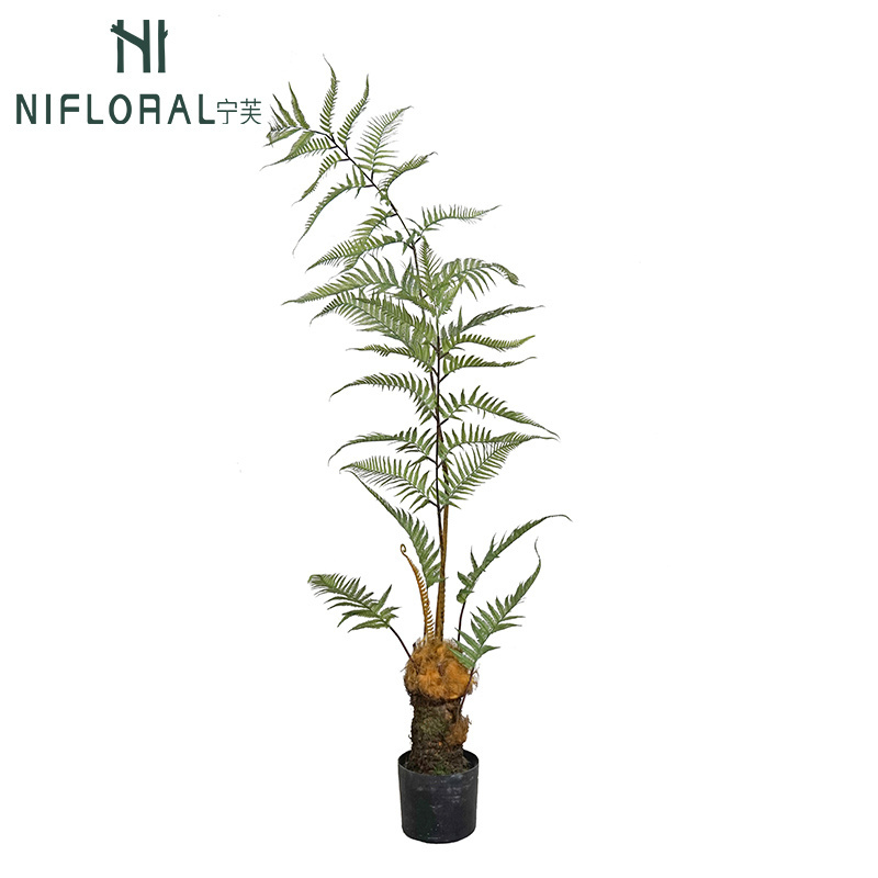 Famous in Interior Landscape Designs Wholesale 125cm Artificial Bonsai Fern Tree