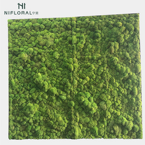 Nifloral Preserved Moss Wall Decoration Real Natural Preserved Moss for Wall Art Decoration