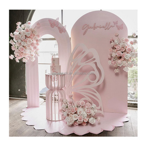 Pink Pink Acrylic backdrop arched background with butterfly wedding birthday event props