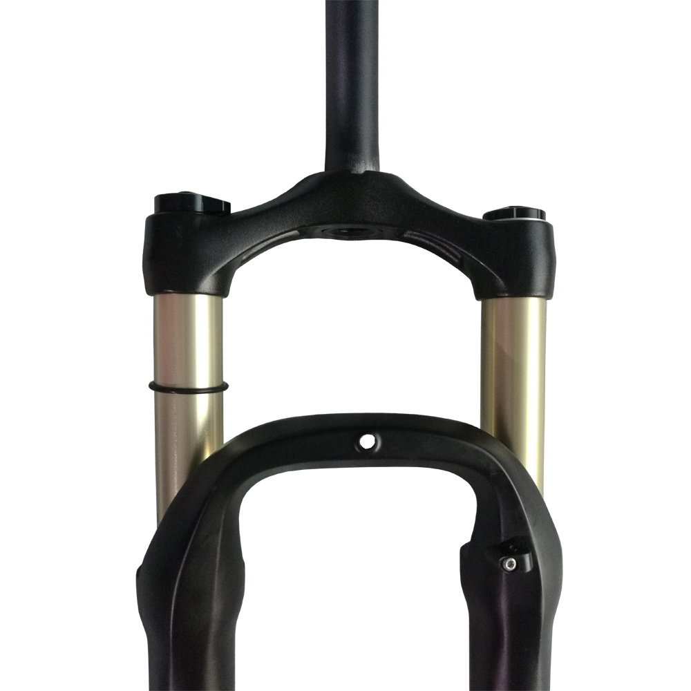 Titanium color stanchions bicycle fork 20*4.0 with air suspension