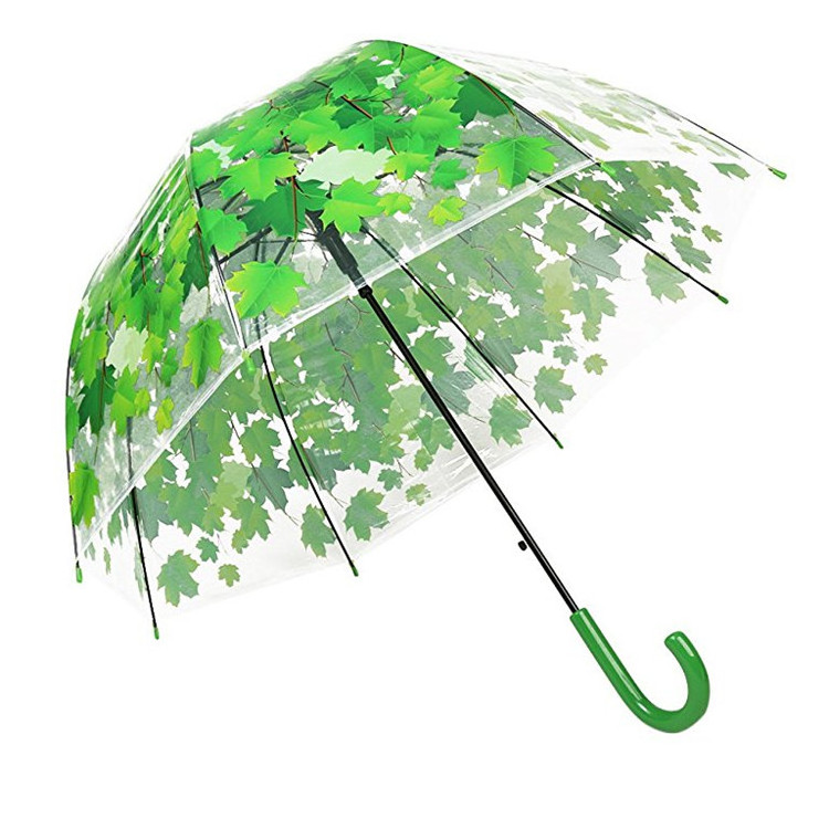 Apollo semi-automatic leaves dome transparent straight umbrellas for 8 ribs