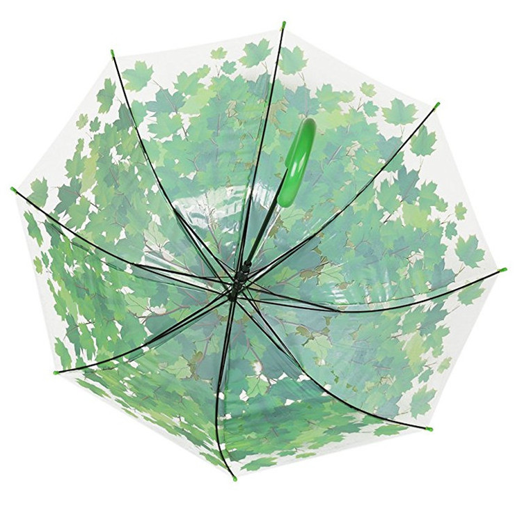 Apollo semi-automatic leaves dome transparent straight umbrellas for 8 ribs