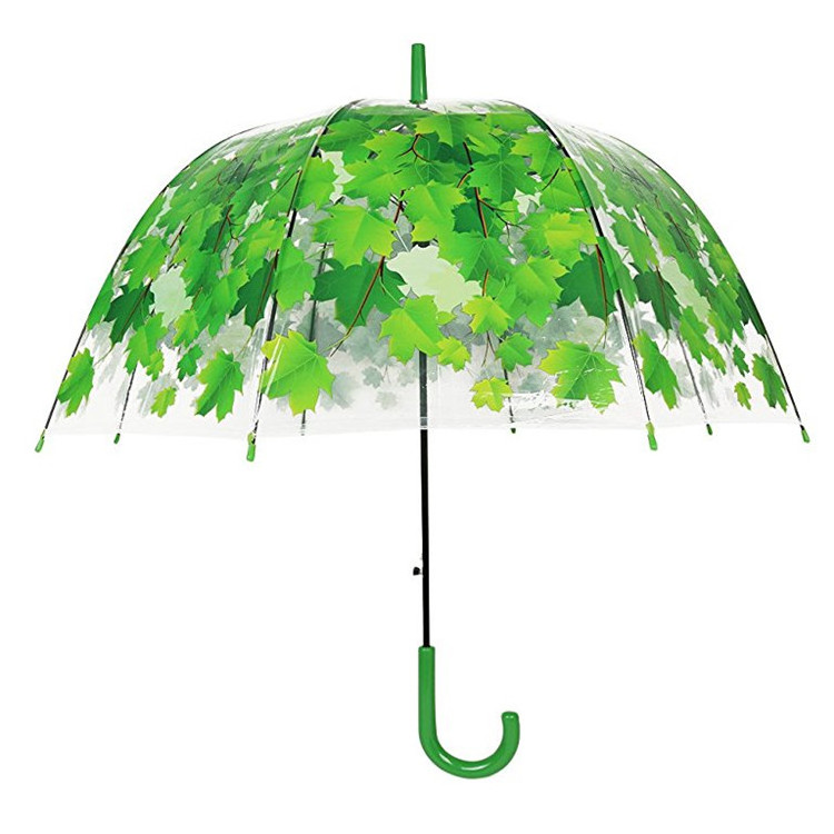 Apollo semi-automatic leaves dome transparent straight umbrellas for 8 ribs