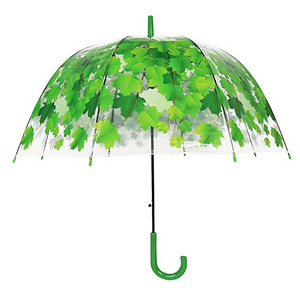 Apollo semi-automatic leaves dome transparent straight umbrellas for 8 ribs