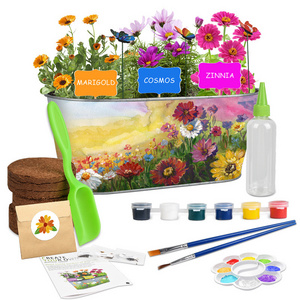 creative Indoor flower Kids planting kit Mini Garden Kids Garden Toy Educational Toy Christmas gift