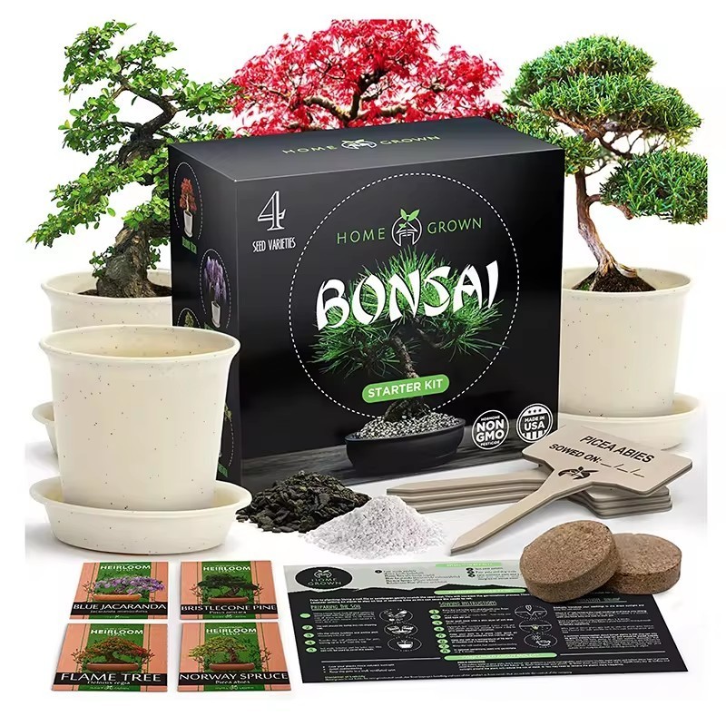 Indoor Bonsai Tree Kit Bonsai Tree Starter Plant Kit Beginner Gardening Growth Kids Birthday Gift