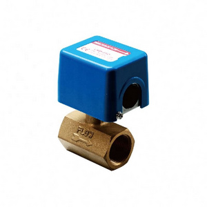 Flow switch 1/4 1/2 flow switch flow meter switch